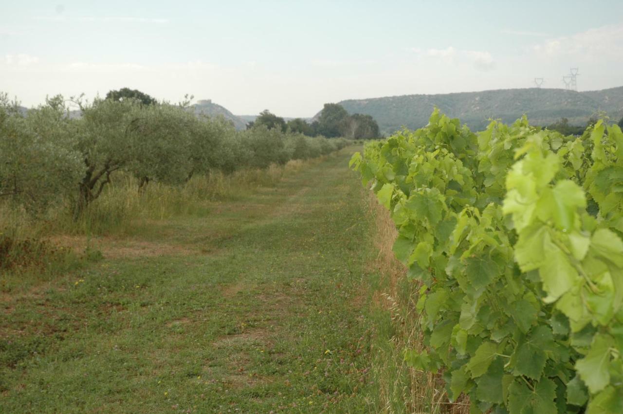 Domaine De Sevanes Saint-Paul-les-Fonts Exterior photo